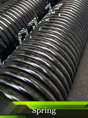 Sammamish Garage Door Spring